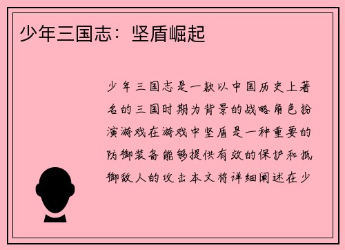 少年三国志：坚盾崛起