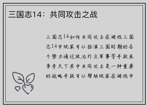 三国志14：共同攻击之战